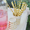 Gold Foiled Striped Paper Straws - Pack of 25