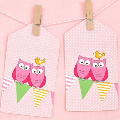 Owl Pink Tag - Pack of 12